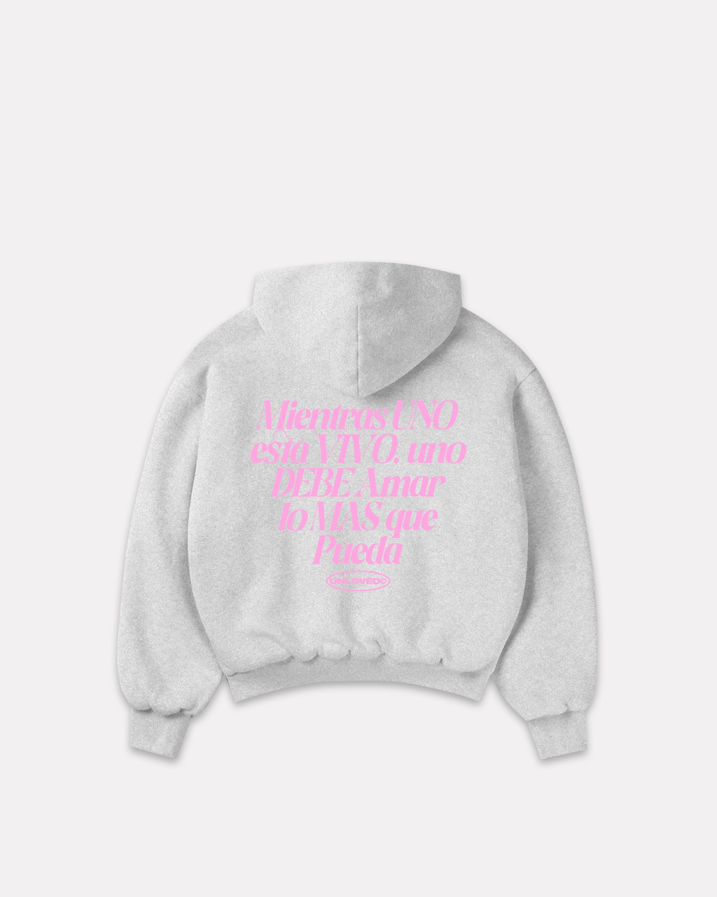 Baile boxy hoodie grigia