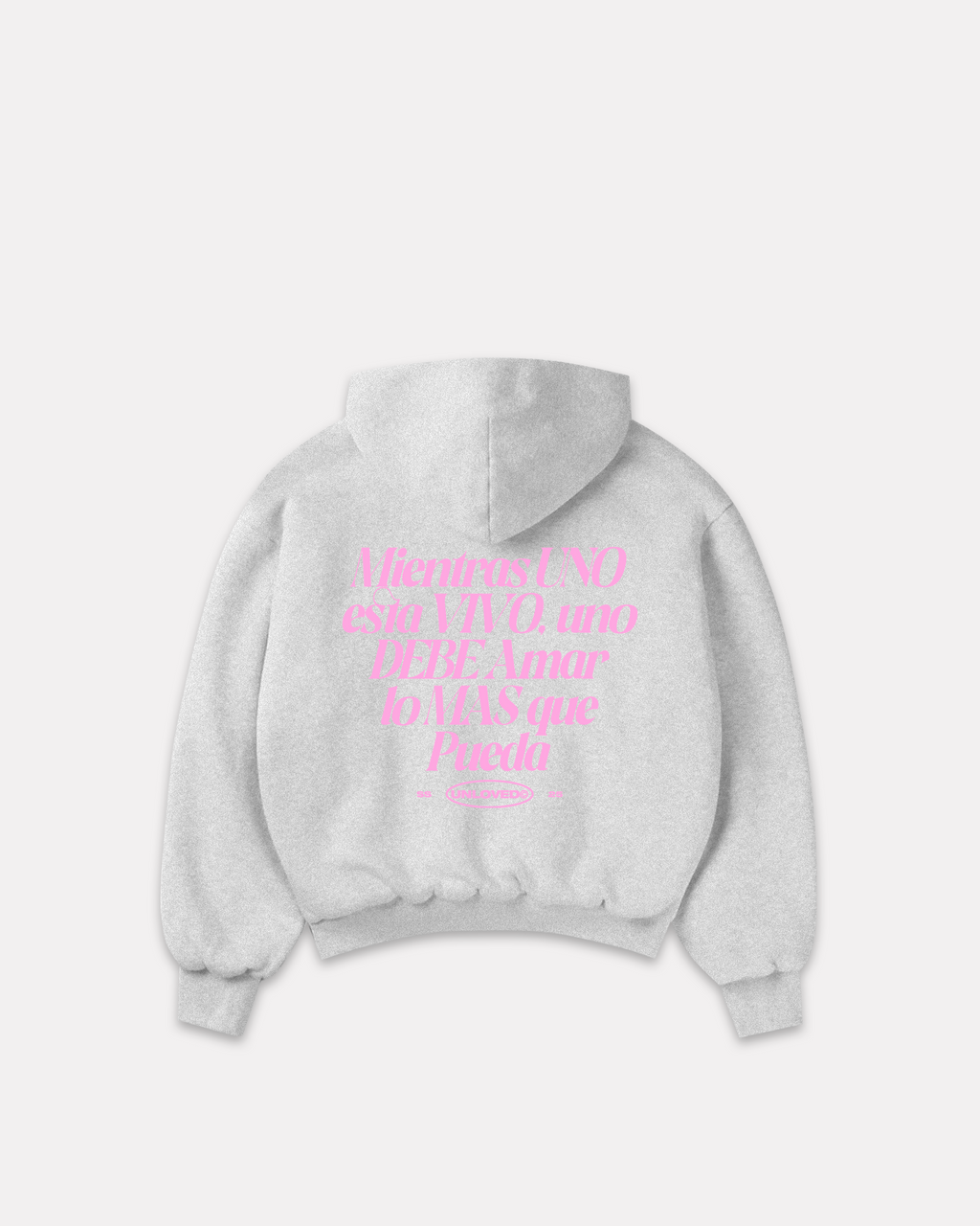 Baile boxy hoodie grigio